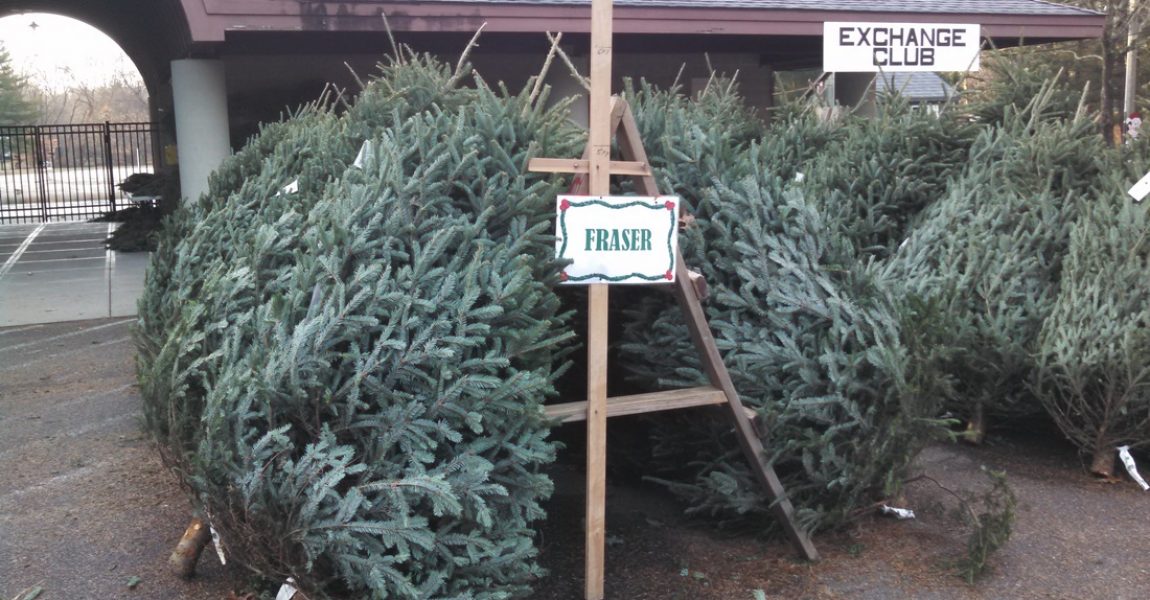 New Canaan Exchange Club sells out of Christmas trees